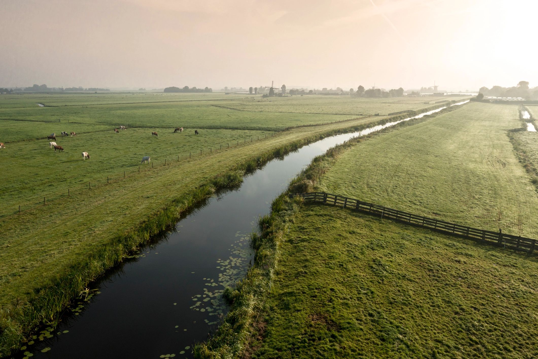 Nederlands landschap met woning en groene omgeving